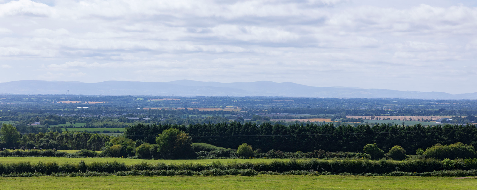 A view of fields in the Fingal-East Meath area